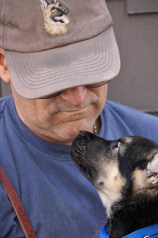 Westside German Shepherd Rescue of Los Angeles